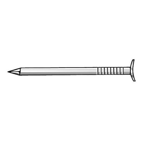 4nez5 1.38 In. Cupped Drywall Nail - Pack Of 1860